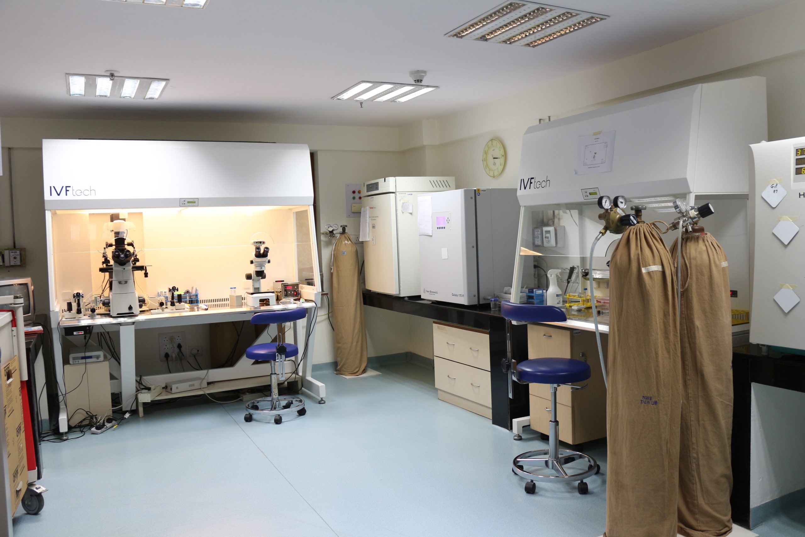 7 Embryology lab